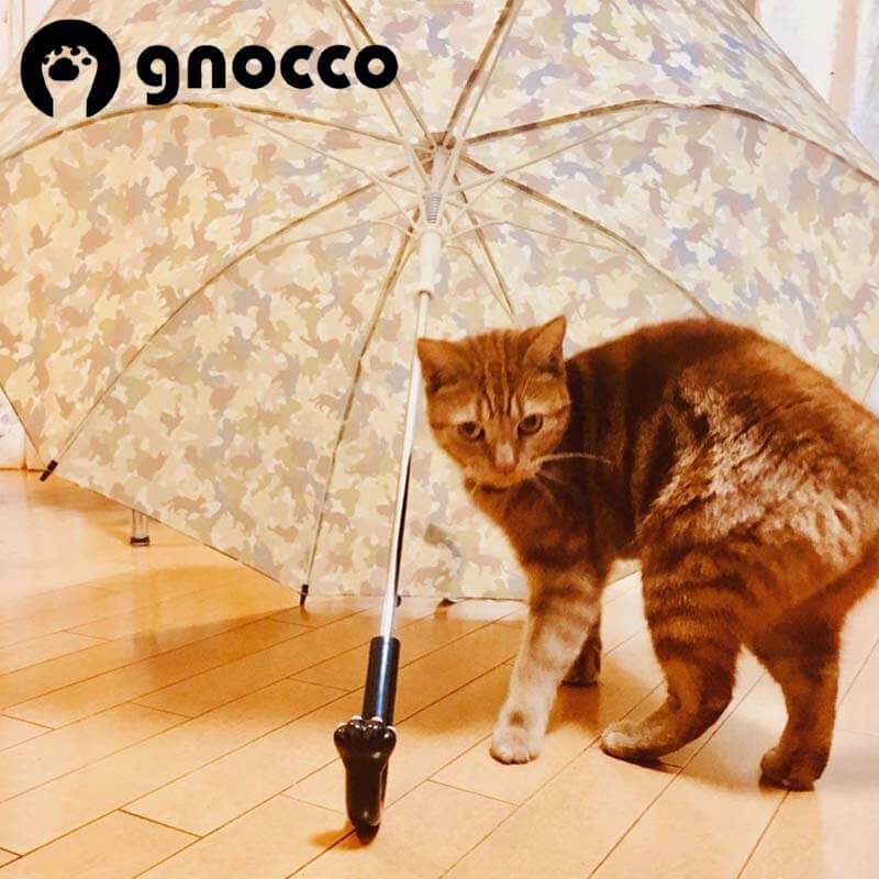 gnocco/ニョッコ　迷彩猫