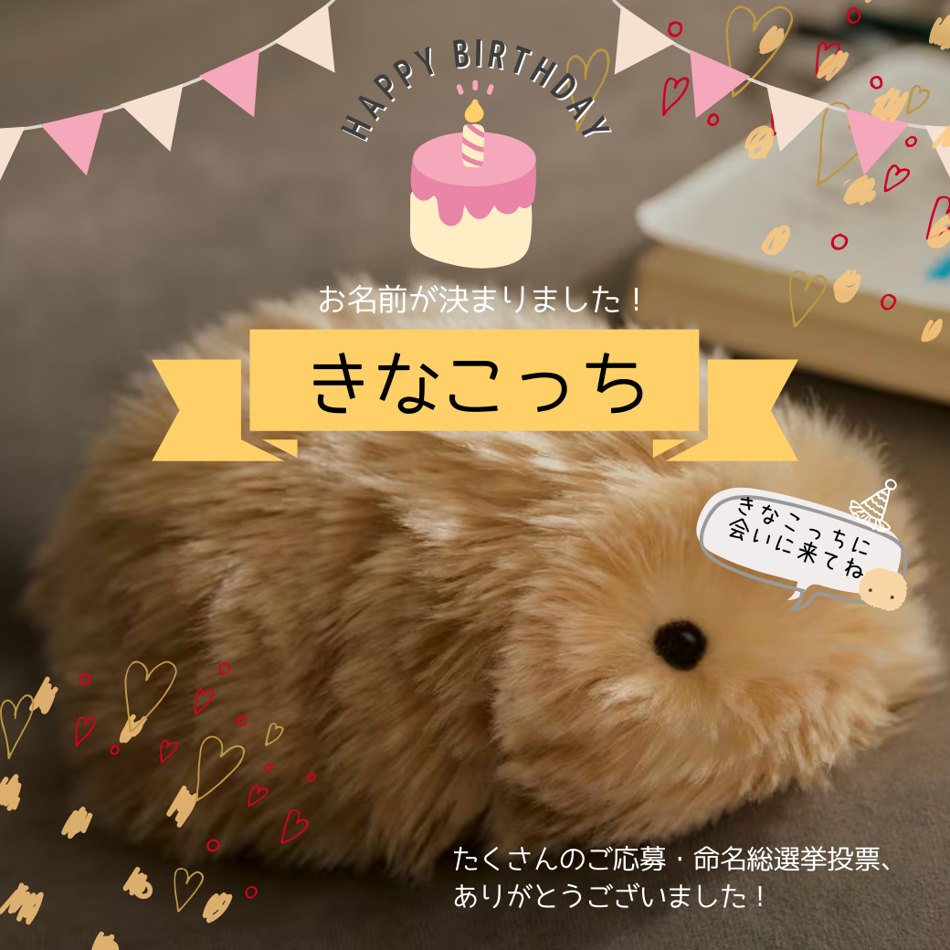 話題のAIペットがKURAWANKAに仲間入り。“きなこっち”に会いに来ませんか？